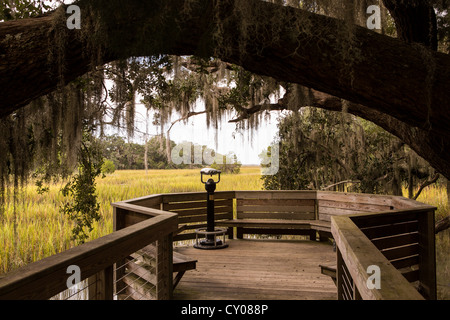 Binokulare Viewer auf Salzwiesen Boardwalk am Honig Horn-Plantage auf Hilton Head Island, SC Stockfoto