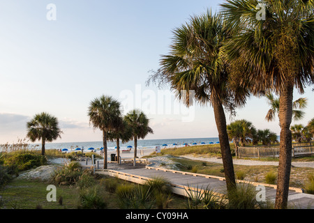 Eingang zum Coligny Kreis öffentlichen Strand auf Hilton Head Island, SC Stockfoto