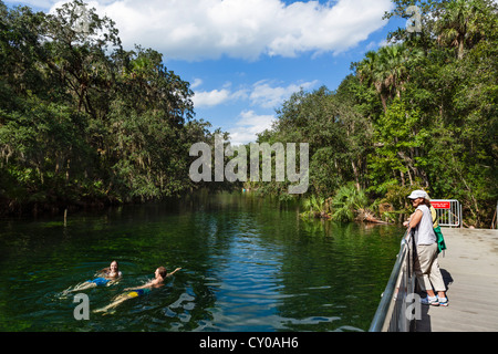 Badestelle auf dem blauen Feder Run im Blue Spring State Park in der Nähe von Orange City, Zentral-Florida, USA Stockfoto