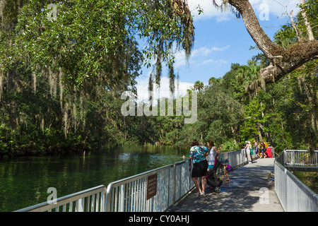 Badestelle auf dem blauen Feder Run im Blue Spring State Park in der Nähe von Orange City, Zentral-Florida, USA Stockfoto