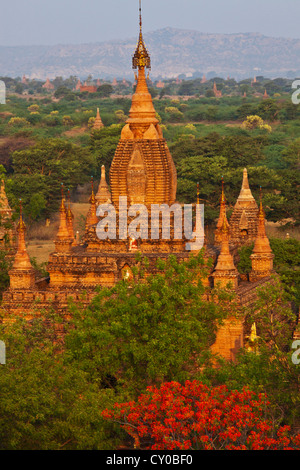 Blick auf den KUTHA-Tempel von der DHAMMAYAZIKA-Pagode von Narapatisithu - BAGAN, MYANMAR 1196 n. Chr. abgeschlossen Stockfoto