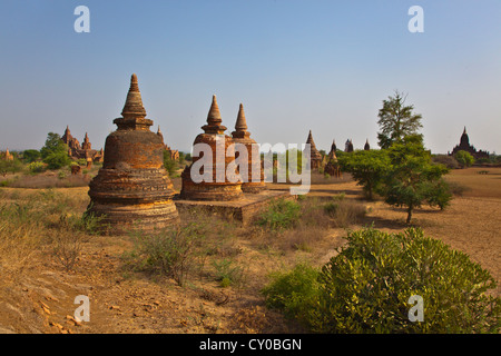 Die LAYMYETHNA Gruppe der Stupa Tempel im Stil - BAGAN, MYANMAR Stockfoto