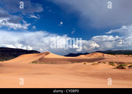 Sanddünen im Utahs Coral Pink Sand Dunes State Park in der Nähe von Kanab. Stockfoto