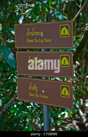 Ein Zeichen für die verschiedenen Höhlen in den Regenwald des KHAO SOK NATIONAL PARK - SURATHANI PROVENCE, THAILAND Stockfoto