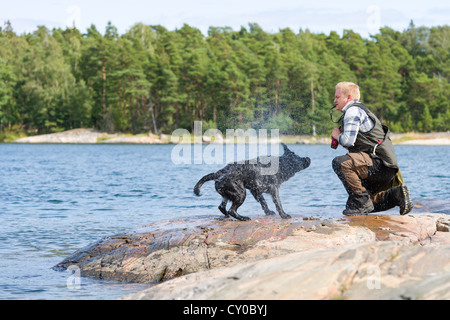 Der Labrador Retriever-Shake selbst nach abrufen Stockfoto