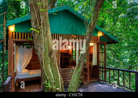 BAUMHÄUSER sind die Spezialität von OUR JUNGLE HOUSE eine Lodge in der Nähe von KHAO SOK Nationalpark - SURATHANI PROVENCE, THAILAND Stockfoto