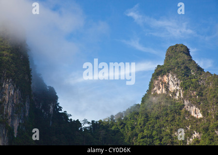 Regenwald-Nebel verweilt in der KARSTGEBILDE im KHAO SOK Nationalpark - SURAI THANI PROVENCE, THAILAND Stockfoto