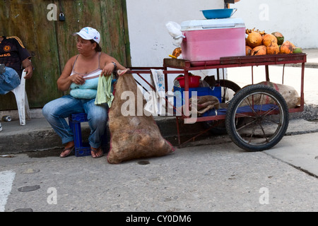 Kokosmilch Verkäufer Barrio San Diego, Altstadt ummauert, Ciudad Amurallada, Cartagena de Indias, Kolumbien Stockfoto
