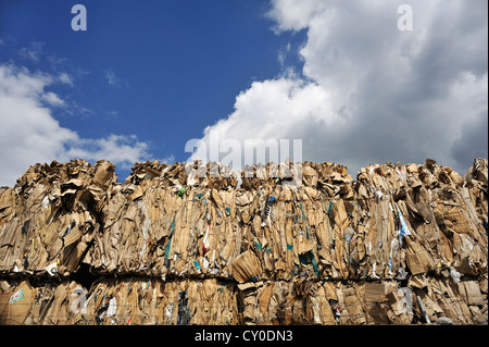 Gepresste und gestapelten Altpapier hinter der Wand ein recycling-Unternehmen, Bamberg, Franken, Oberbayern Stockfoto