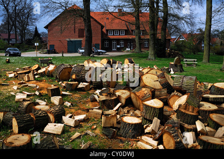 Stamm einer Eiche gesägt in Segmente in einem Garten, gestapelten Protokollen am Rücken, Voegelsen, Niedersachsen Stockfoto