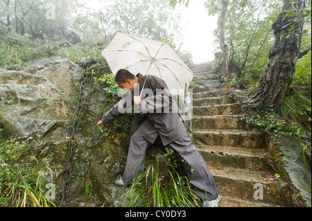 Shaolin Mönch Shi De Jian Prüfung Vegetation im San Huang Zhai Kloster auf dem Song-Berg, China Stockfoto