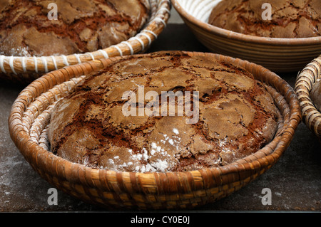 Ofenfrische, 3 Pfund Bauernbrot, Brote, in Körben Brot auf ein Backblech, Wildenfels, Franken, Oberbayern Stockfoto