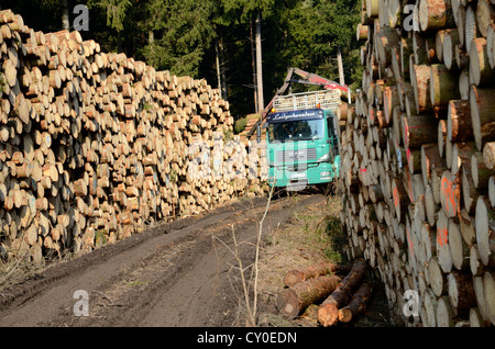 Bavarian State Forestry sammeln schneiden Fichte Protokolle für die Entfernung, in der Nähe von Raubling, Bayern Stockfoto