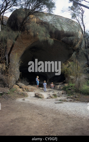 Des Nilpferd, Hyden, WA, Australien Gähnen, einen angenehmen Spaziergang von Wave Rock. Stockfoto