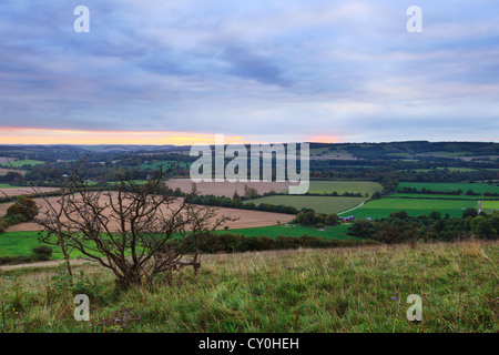 Zeigen Sie in der South Downs National Park in Hampshire, England an, im Morgengrauen Stockfoto