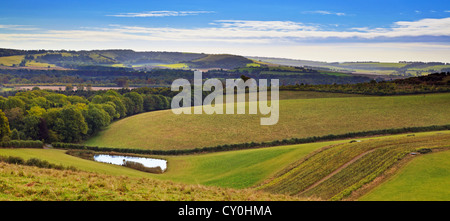 Der South Downs Nationalpark in Hampshire England, entnommen dem Monarchen Weg Blick über das Meon Valley Stockfoto