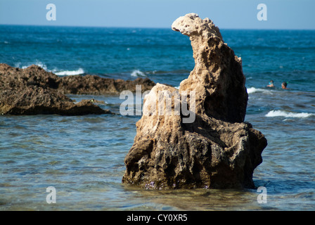 Natürliche Skulptur am felsigen Strand bei Les Rotes Denia, Kap San Antonio, Provinz Alicante, Spanien, Europa Stockfoto