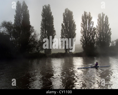 Misty Sonntagmorgen - Rudern Praxis aus St. Helena Wharf, Abingdon auf Themse 7 Stockfoto