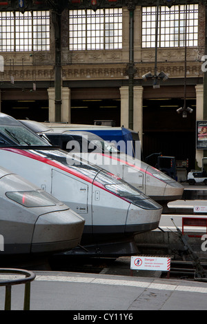 Vorderseite des mehrere Versionen des französischen Hochgeschwindigkeitszug (TGV SCNF) im Bahnhof Gare de Lyon in Paris, Frankreich Stockfoto