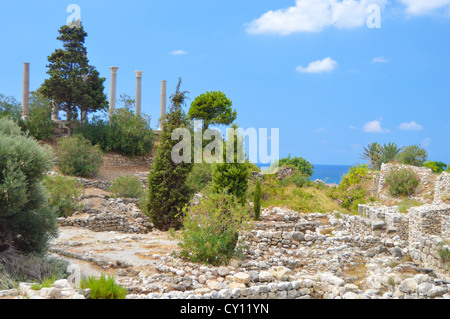 Phönizische Stadt Byblos, Libanon, kontinuierlich seit 7000 Jahren bewohnt. Stockfoto