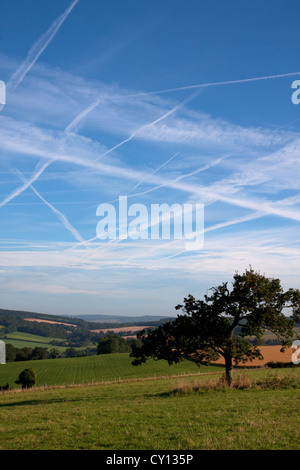 Chem-Trails im Himmel links von Flugzeugen, Sussex, England Stockfoto