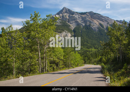 Route 40 auch bekannt als Kananaskis Trail Teil des Bighorn Highway in Alberta, Kanada Stockfoto