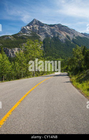 Route 40 auch bekannt als Kananaskis Trail Teil des Bighorn Highway in Alberta, Kanada Stockfoto