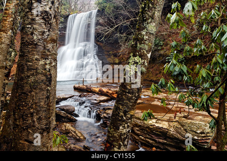 Wenig Stony Creek Talfahrt über Cascade Wasserfall eingerahmt von Baumstämmen, Pembroke, Giles County, Virginia, USA. Stockfoto