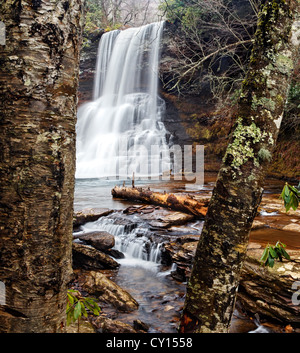 Wenig Stony Creek Talfahrt über Cascade Wasserfall eingerahmt von Baumstämmen, Pembroke, Giles County, Virginia, USA. Stockfoto