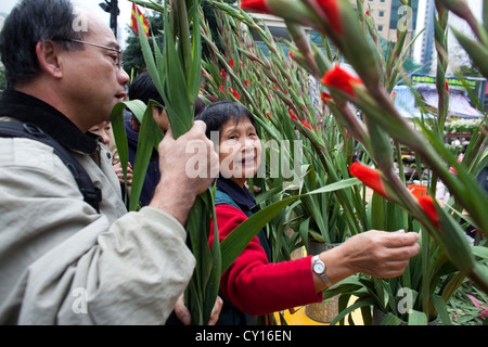 Blumenmarkt während Chinese New Year, Hongkong Stockfoto