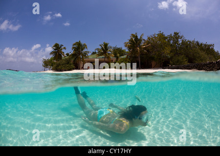 Schnorcheln in der Lagune, Eriyadu, Nord Male Atoll, Malediven Stockfoto