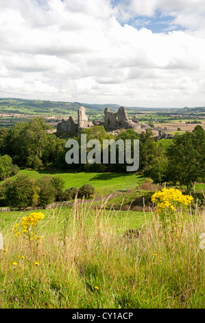 Das 13. Jahrhundert Ruinen von Montgomery Burg auf dem Burgberg, Powys, Mid Wales, Vereinigtes Königreich.  SCO 8699 Stockfoto
