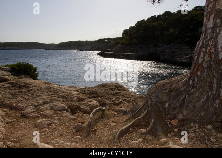 Cala Barca, Santanyi "Bezirk, Ostküste Mallorca Meer Balearen Spanien Stockfoto