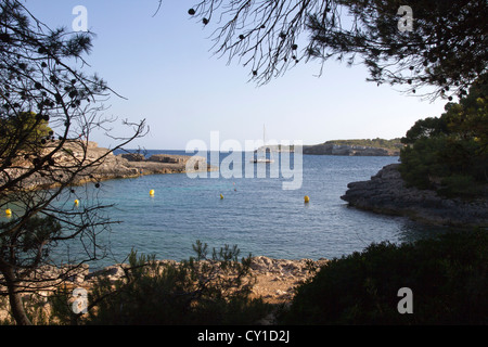 Cala Barca, Santanyi "Bezirk, Ostküste Mallorca Meer Balearen Spanien Stockfoto