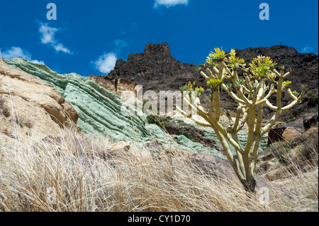 Farbigen vulkanischen Gesteine auf Fuente Los Azulejos, Gran Canaria, Kanarische Inseln-Spanien, einem beliebten touristischen Ort Stockfoto