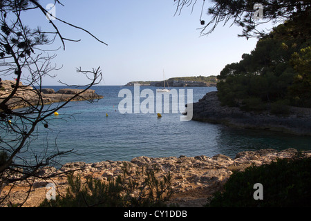 Cala Barca, Santanyi "Bezirk, Ostküste Mallorca Meer Balearen Spanien Stockfoto