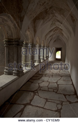 Eine Innenansicht des Muckross Abbey 1448 von den Franziskanern gegründet. Stockfoto