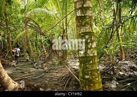 Backpacker, die den Regenwald im Tayrona National Park erkunden Stockfoto