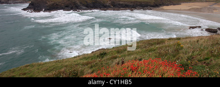 Poldhu Strand in der Nähe von Mullion Dorf, Cornwall County; England; UK Stockfoto