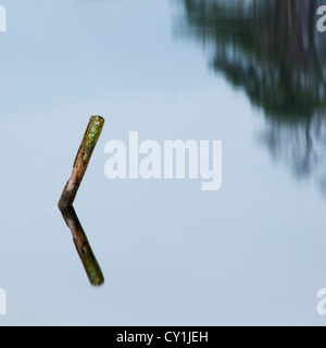 Post in stehenden Gewässern mit Reflexion am Derwent Water, Lake District, England Stockfoto