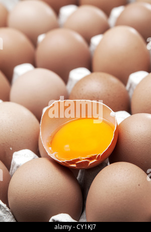 Nahaufnahme eines gebrochenen braune Ei Stockfoto