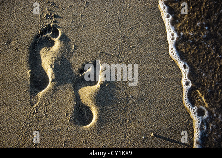 Zwei Spuren am Strand Stockfoto