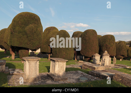 Eiben und Brust oder Tabelle Top Gräber auf dem Gelände der Pfarrkirche St Mary, Painswick, Gloucestershire, UK. Stockfoto