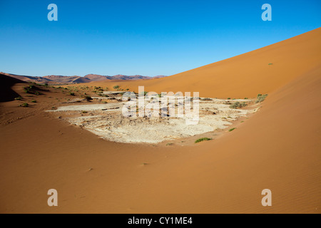 (dead-Tal) Sossusvlei im Namib-Naukluft Park, Namibia Stockfoto