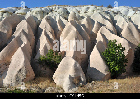 Vulkanischen Tuffstein-Formationen in der Nähe von Göreme, Cappadocia. Stockfoto