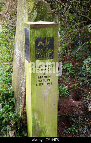 Ein Staffordshire Wildlife Trust Holzschild post an Jacksons Niederwald in der Nähe von Eccleshall Staffordshire England UK Stockfoto