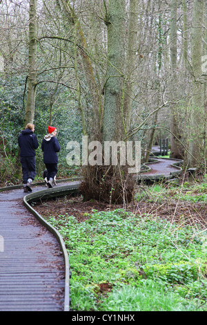 2 Frauen Wanderer auf recyceltem Kunststoff angehoben Weg Jacksons Niederwald Staffordshire Wildlife Trust Staffordshire England UK Stockfoto