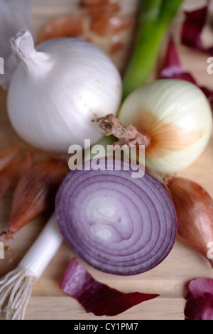 Rote Zwiebeln (Allium Cepa), Schalotten, Frühlingszwiebeln (Allium Fistulosum), weiße Zwiebeln (Allium Cepa) Stockfoto