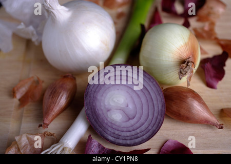 Rote Zwiebeln (Allium Cepa), Schalotten, Frühlingszwiebeln (Allium Fistulosum), weiße Zwiebeln (Allium Cepa) Stockfoto