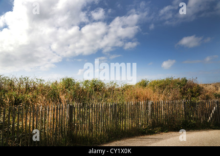 Cap Gris Nez Côte Opale Pas De Calais Frankreich Zaun und Vegetation am Strand Stockfoto